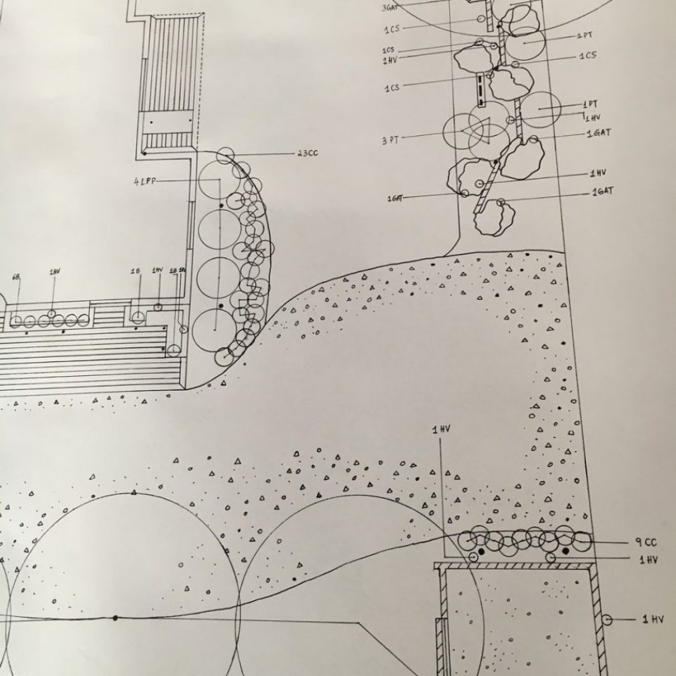 Image Not Found On Media Library