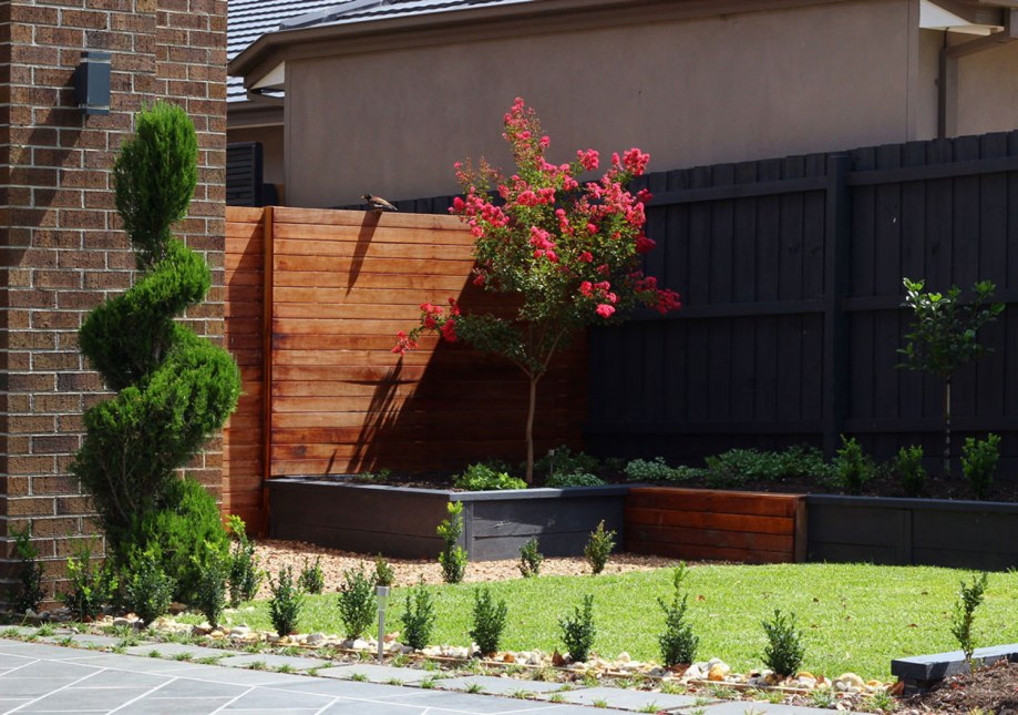 Side view of formal planting used in Ashburton landscape design by Parveen Dhaliwal