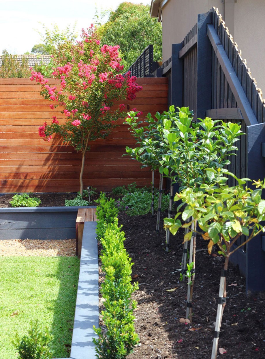 Side view of pink crepe myrtle and gardenias used in Ashburton landscape design