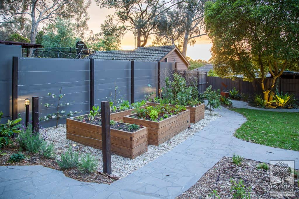 Closeup of vegetable patch area in Blackburn landscape design