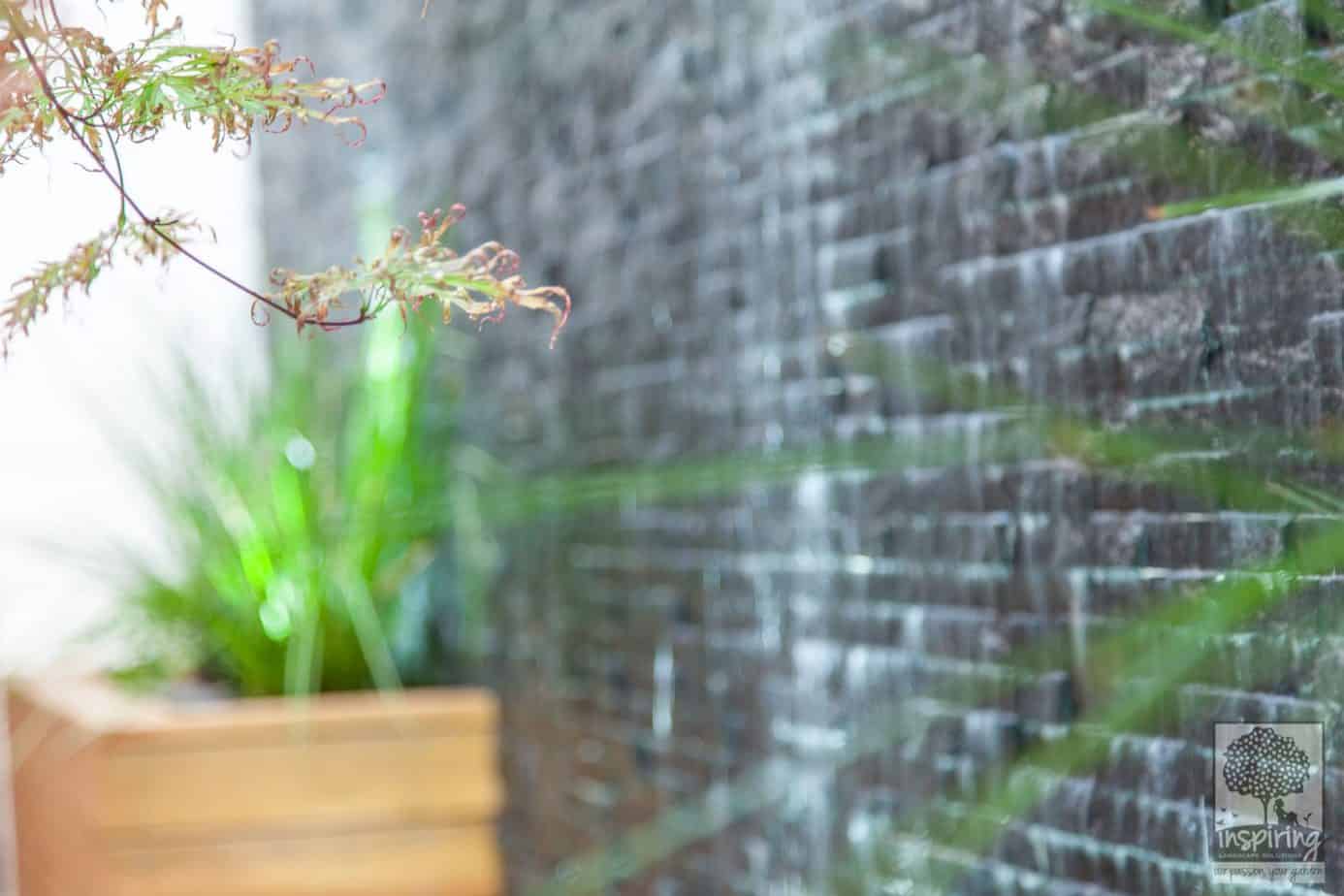 Closeup view of the slate wall used to create the water feature in Maribyrnong courtyard garden