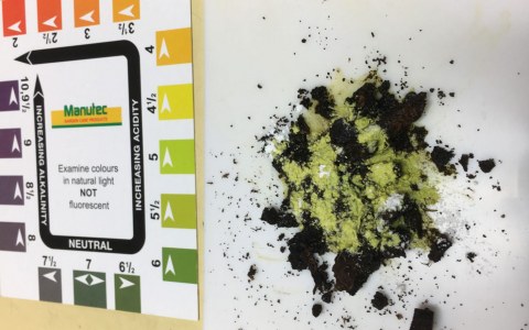 Image Not Found On Media Library