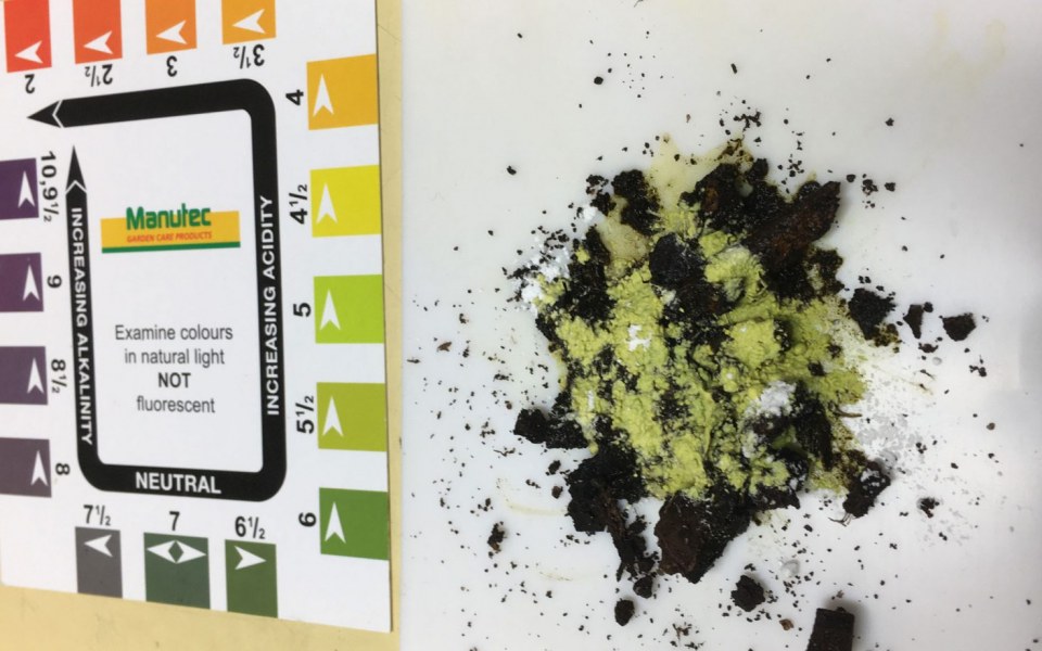 Image Not Found On Media Library