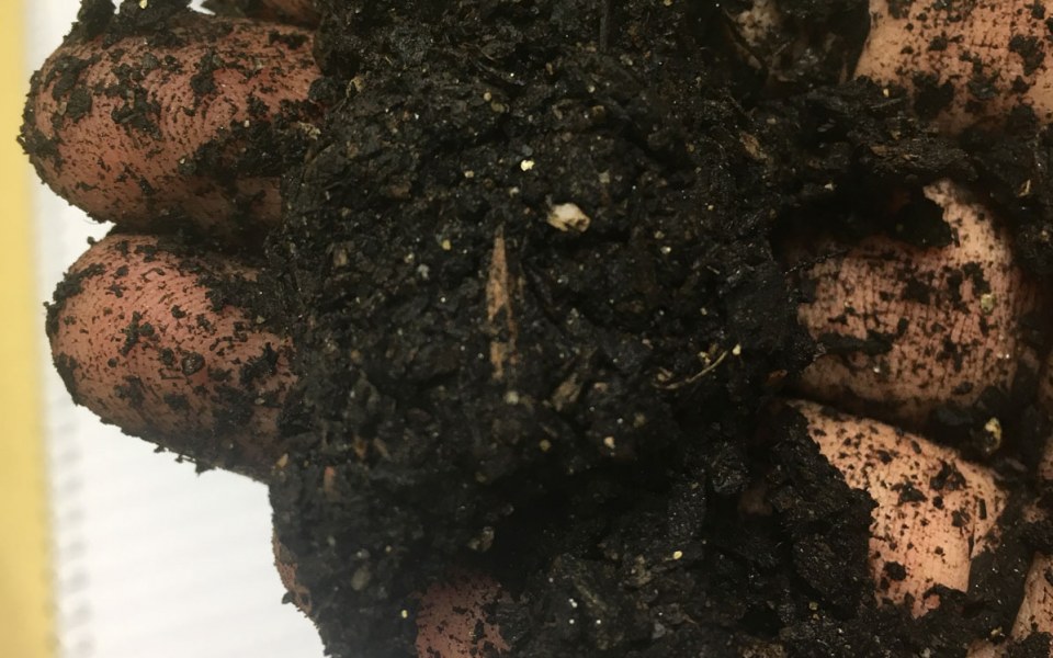 Image Not Found On Media Library