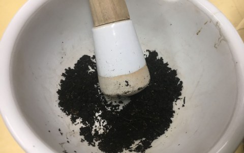 Image Not Found On Media Library