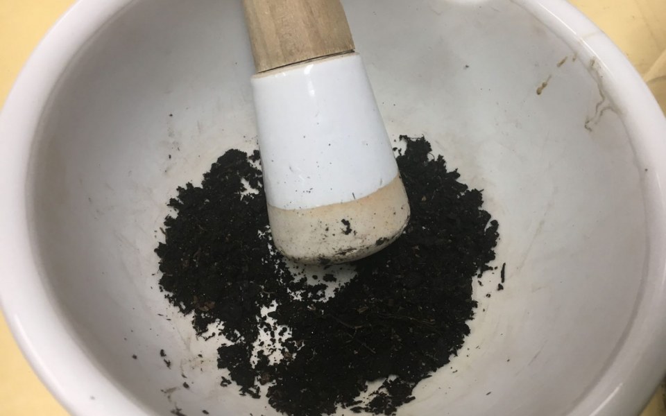 Image Not Found On Media Library