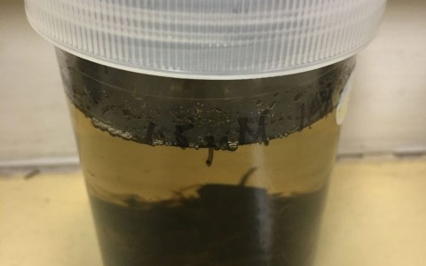 Image Not Found On Media Library