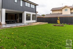 Large grassed area in Burwood landscape design by Inspiring Landscape Solutions