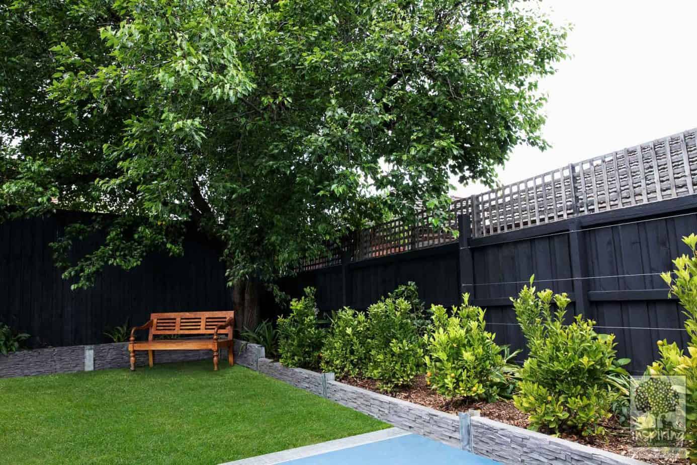 Front view of an edible garden design using a cumquat hedge in the backyard of a Camberwell property in Melbourne