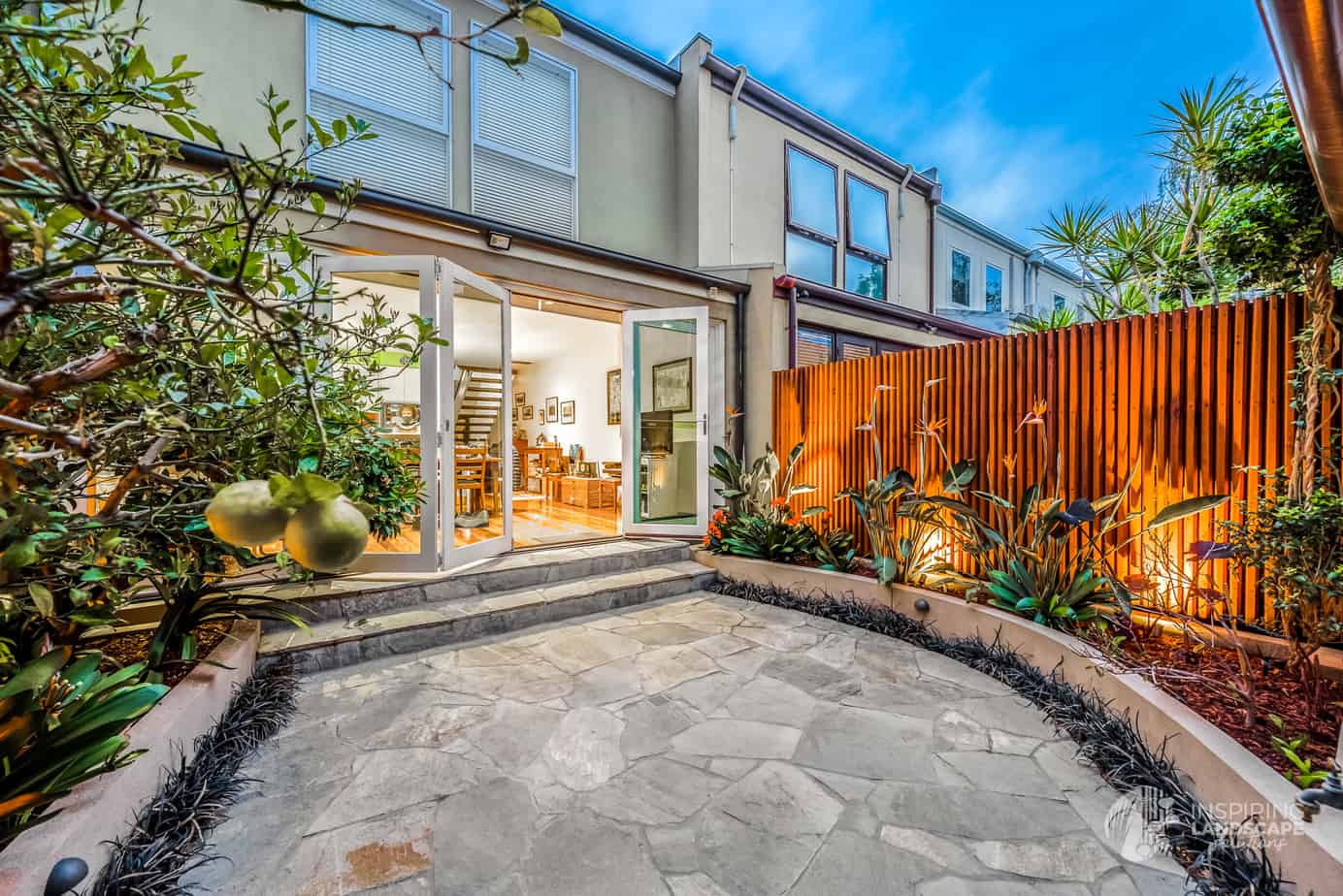 Rear courtyard planted with citrus trees and clivias in Hawthorn East courtyard garden design by Parveen Dhaliwal