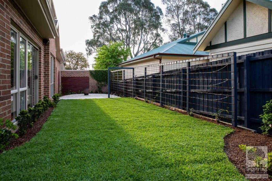 Green lawn surrounded by garden beds in Surrey Hills garden design by Parveen Dhaliwal