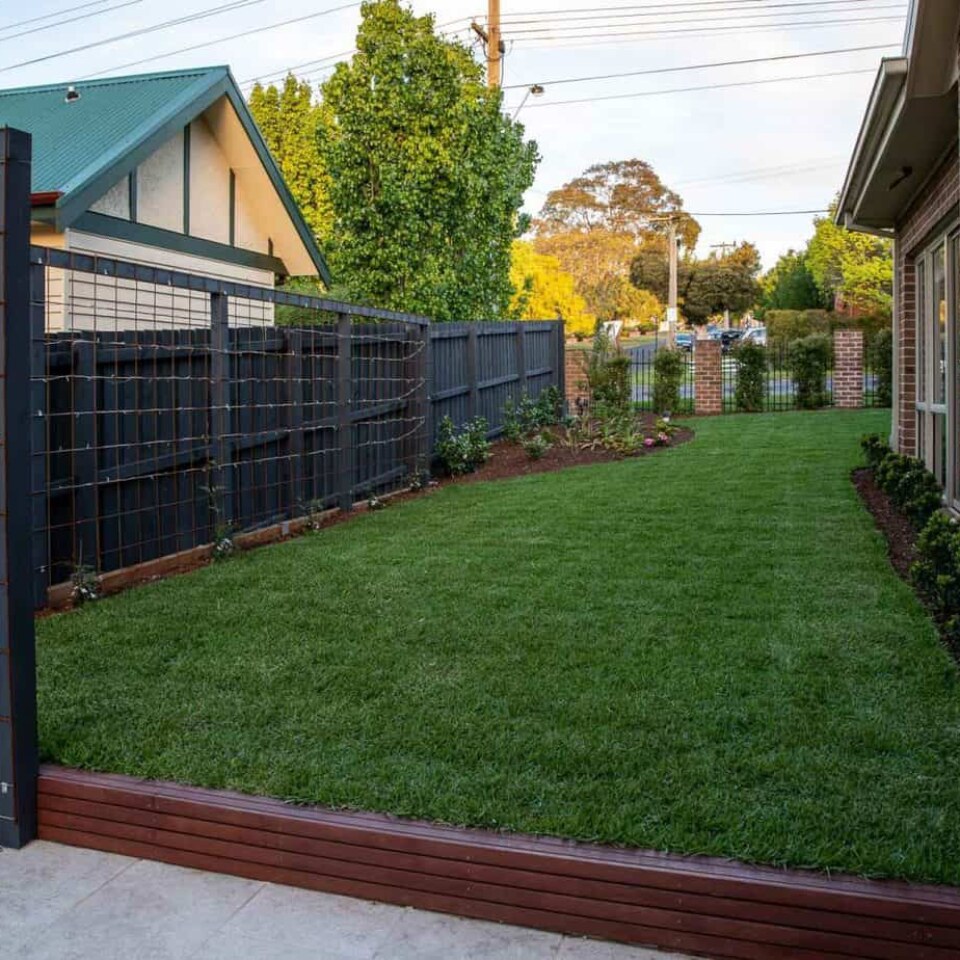 Image Not Found On Media Library