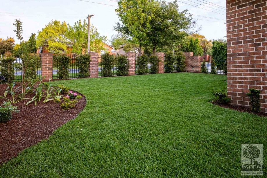 Green lawn surrounded by garden beds in Surrey Hills garden design