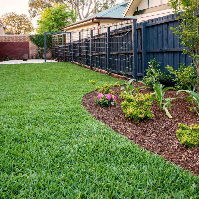Green lawn surrounded by garden beds in Surrey Hills landscape design by Parveen Dhaliwal