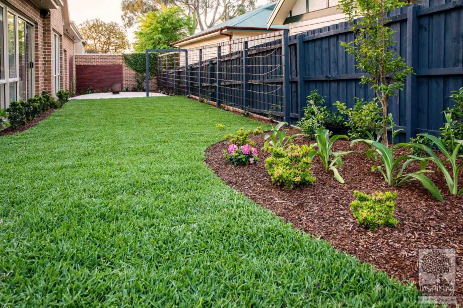 Green lawn surrounded by garden beds in Surrey Hills landscape design by Parveen Dhaliwal