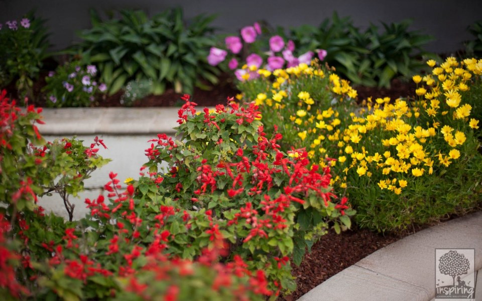 Image Not Found On Media Library