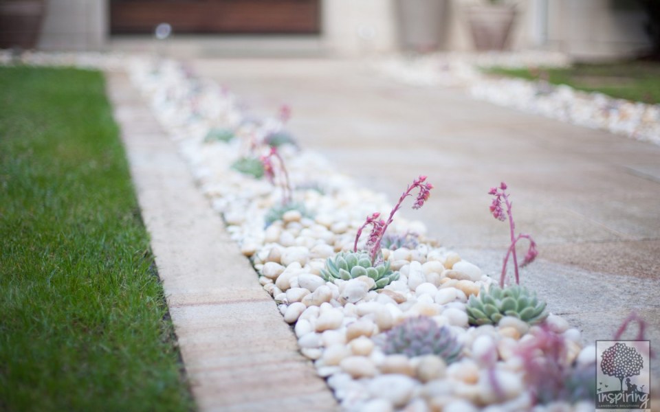 Image Not Found On Media Library