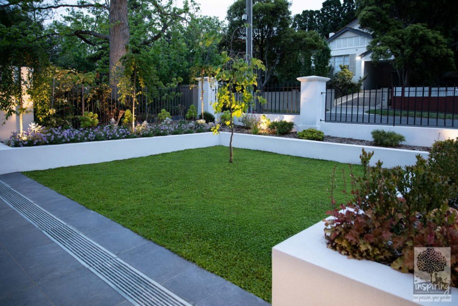 Front garden in Camberwell landscaped using perennials and Australian natives