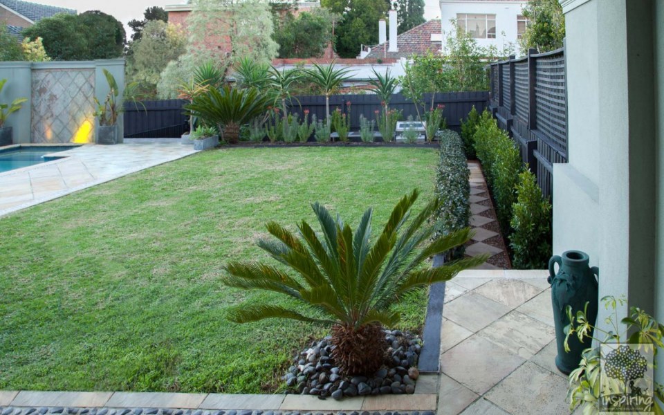 Image Not Found On Media Library