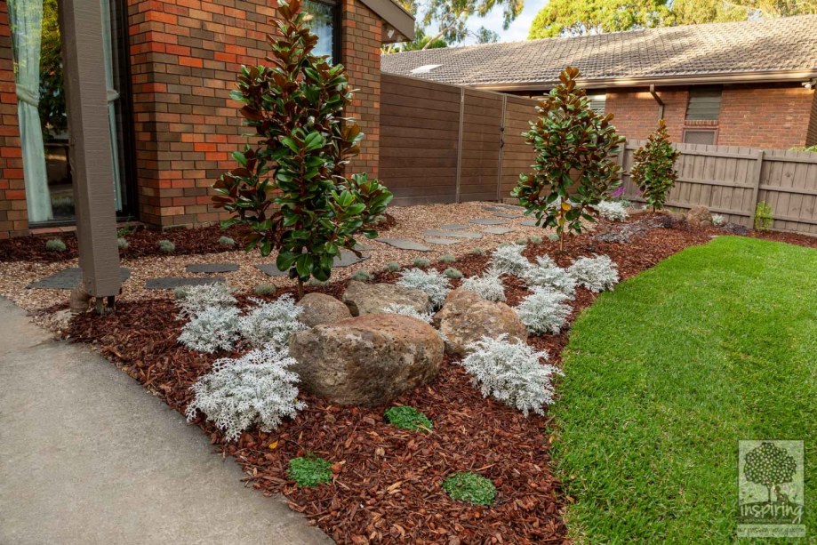 Dwarf magnolias and other shrubs planted in ground in Vermont South landscape design by Parveen Dhaliwal