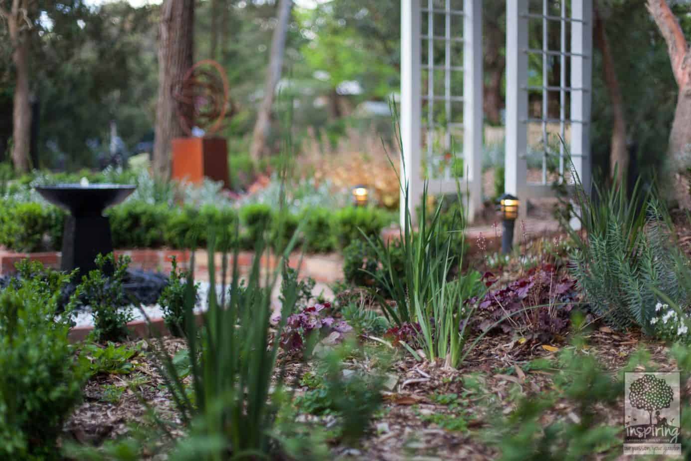 Cottage garden planting in Blackburn front garden design