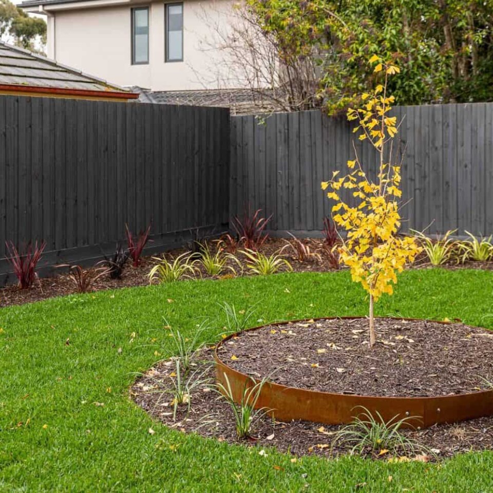 Image Not Found On Media Library