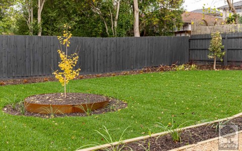 Image Not Found On Media Library