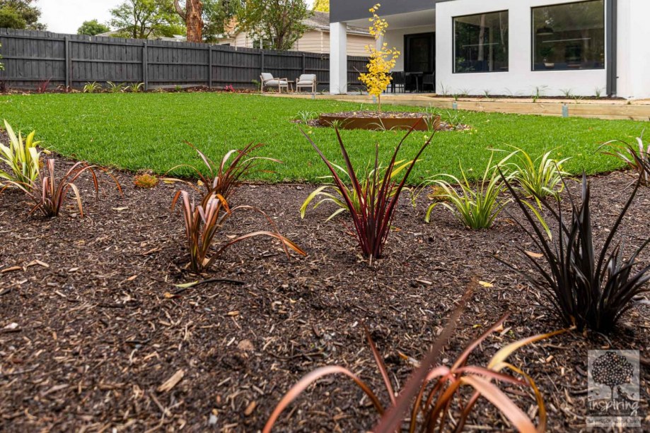 Closeup of flaxes used in Burwood landscape design by Parveen Dhaliwal of Inspiring Landscape Solutions