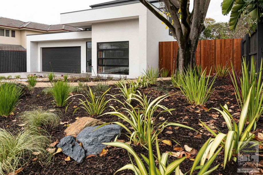 Street view of front garden in Burwood garden design by Inspiring Landscape Solutions