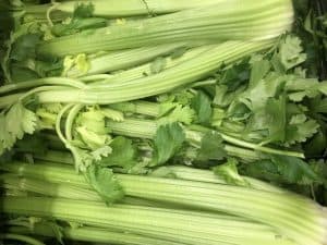 Picture of celery for your productive garden landscape design