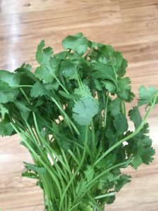 Picture of coriander for your productive garden landscape designpiring Landscape Solutions Melbourne