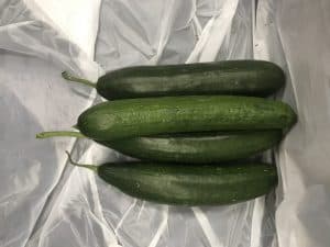 Picture of cucumber for your productive garden landscape design