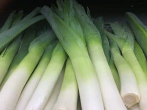 Picture of leek for your productive garden landscape design