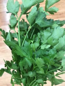 Picture of parsley for your productive garden landscape design