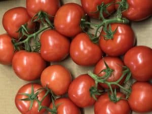 Tomatoes for your productive garden landscape design