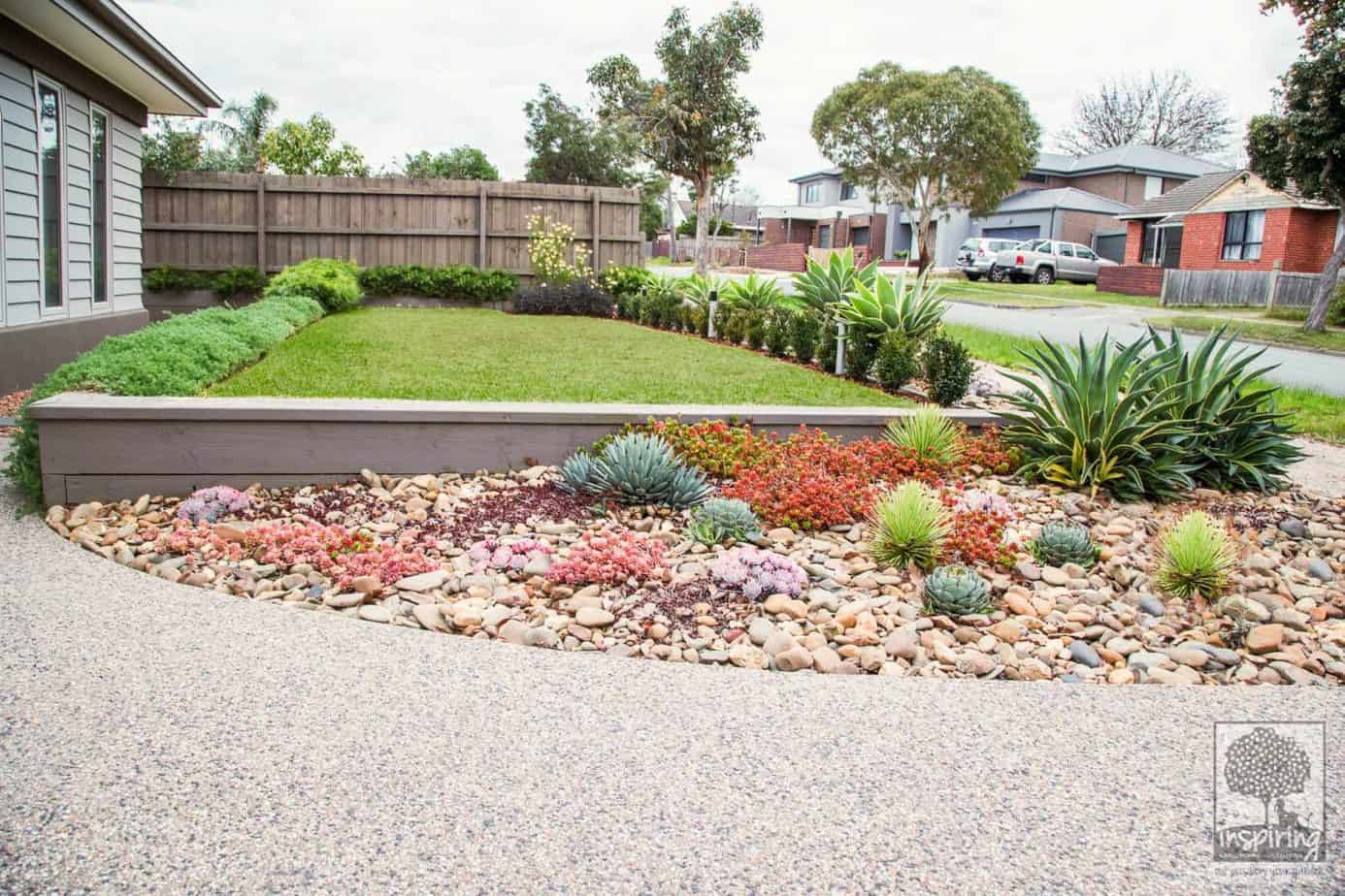 Ashburton landscape design with different types of succulents