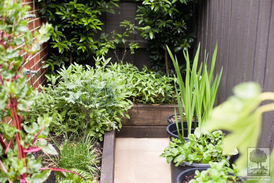 Urban food garden in Bundoora landscape design