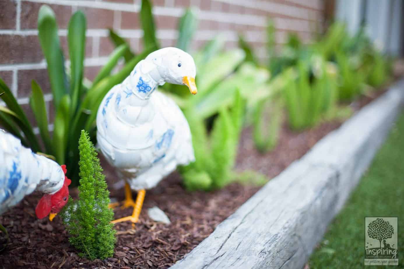 Cute ceramic duck and rooster used as garden accessory in Glen Waverley landscape design