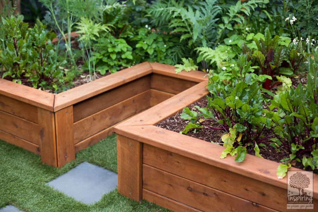 Urban food garden in productive part of Glen Waverley landscape design