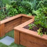 Urban food garden in productive part of Glen Waverley landscape design