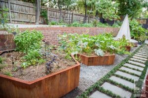 Urban food garden in productive part of Kew landscape design