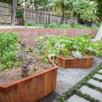 Urban food garden in productive part of Kew landscape design