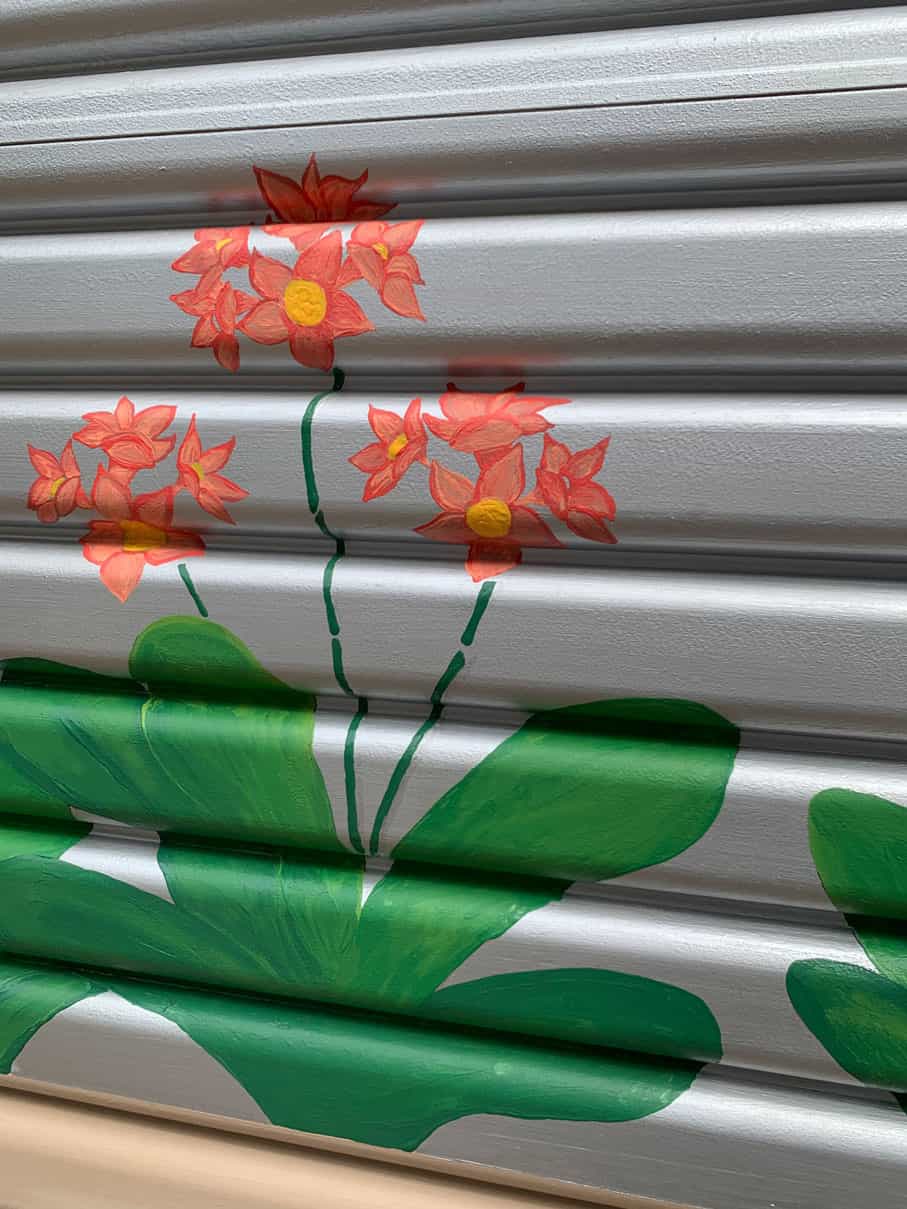 Clivia artwork used in mural in Hawthorn garden design by Parveen Dhaliwal, Inspiring Landscape Solutions