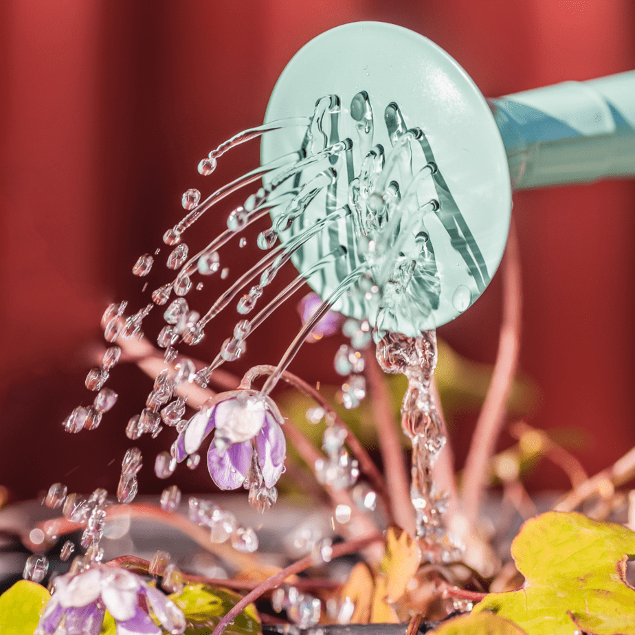 Watering Your Garden