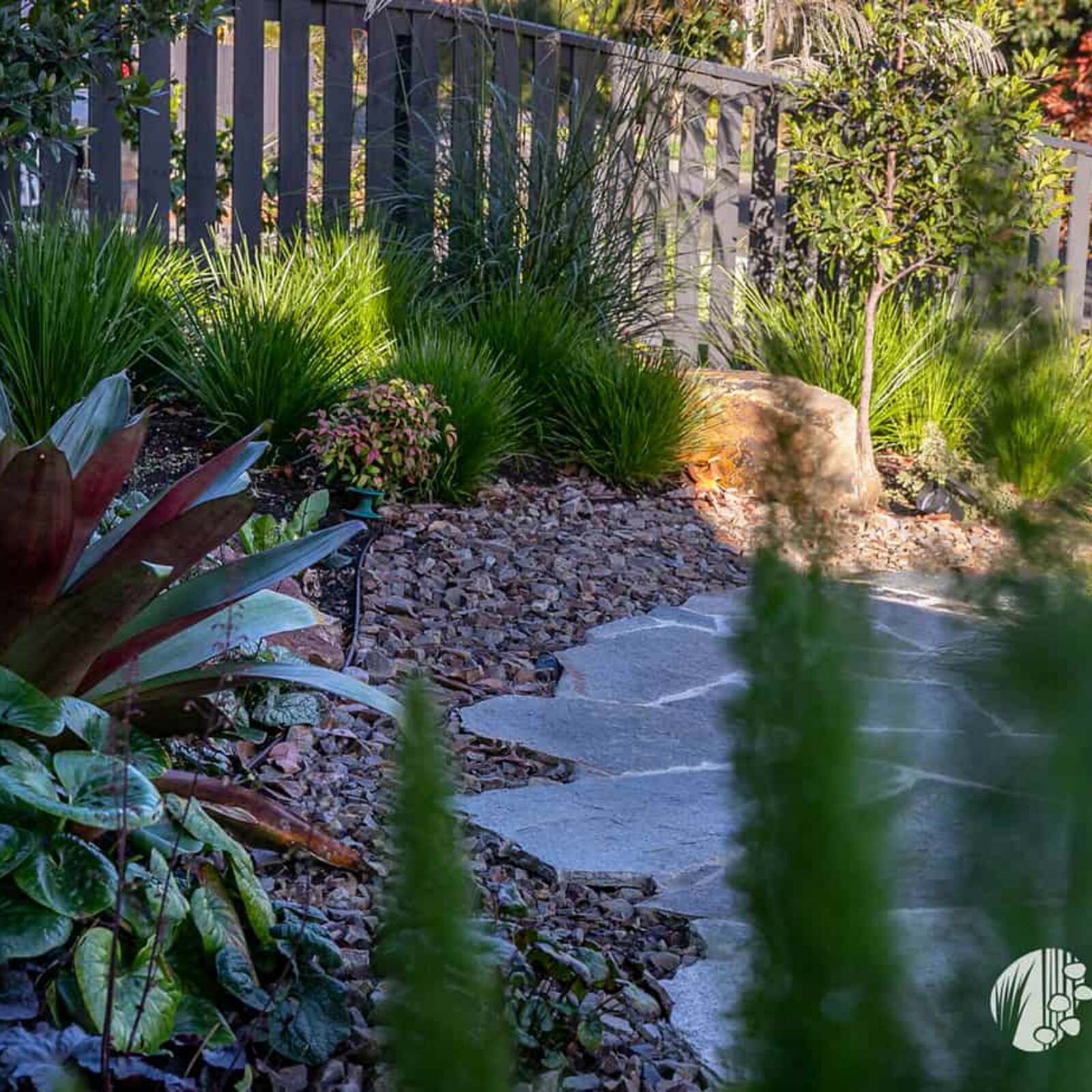 Planting clusters used in Mount Waverley garden design