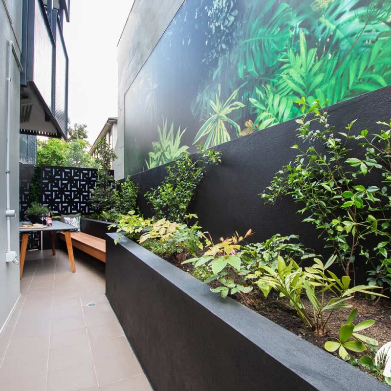 Overall view of tropical garden design in Richmond