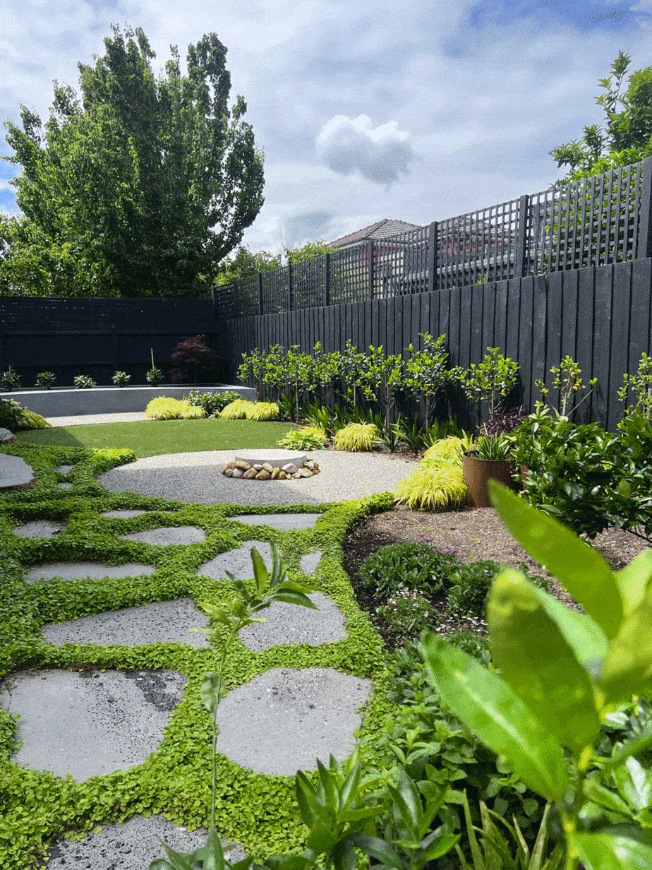 Dichondra repens and crazy paving in Murrumbeena landscape design