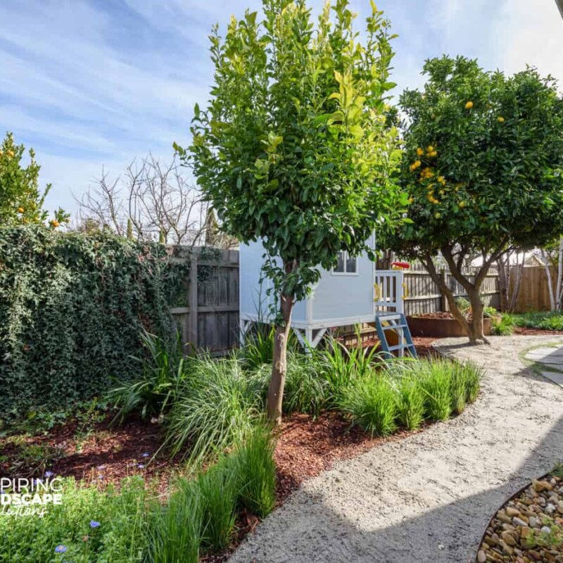 Serpentine pathway in Mulgrave garden design