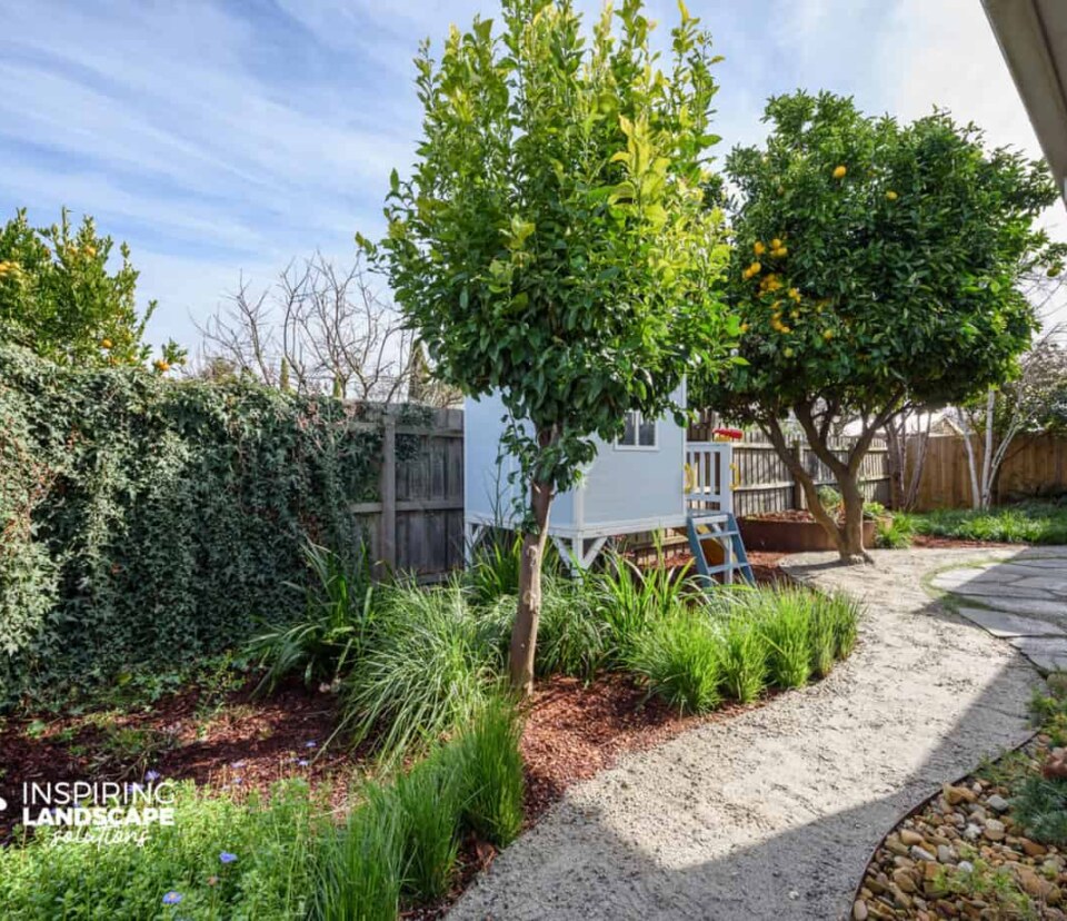 Serpentine pathway in Mulgrave garden design