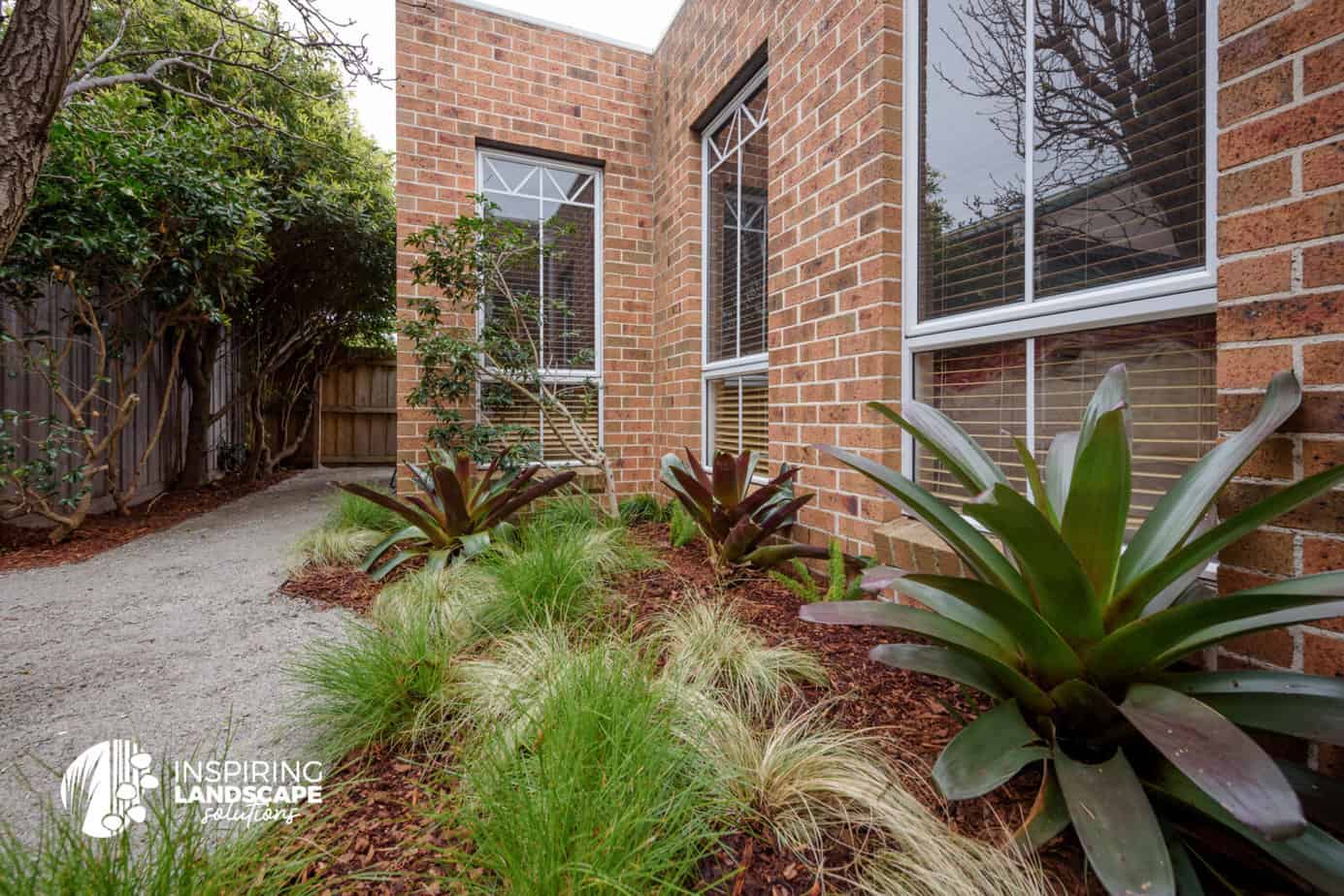 Large bromeliads and grasses in Mulgrave front garden